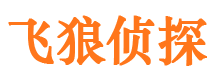 鼎湖市私家侦探